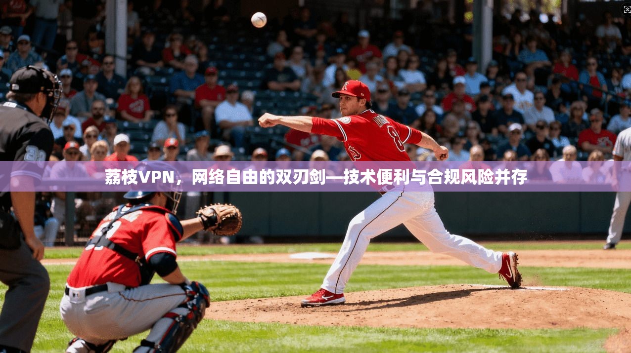 荔枝VPN，网络自由的双刃剑—技术便利与合规风险并存
