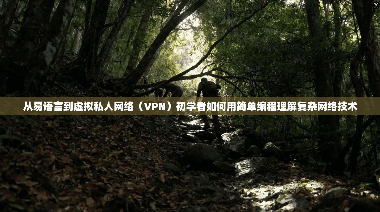 从易语言到虚拟私人网络（VPN）初学者如何用简单编程理解复杂网络技术