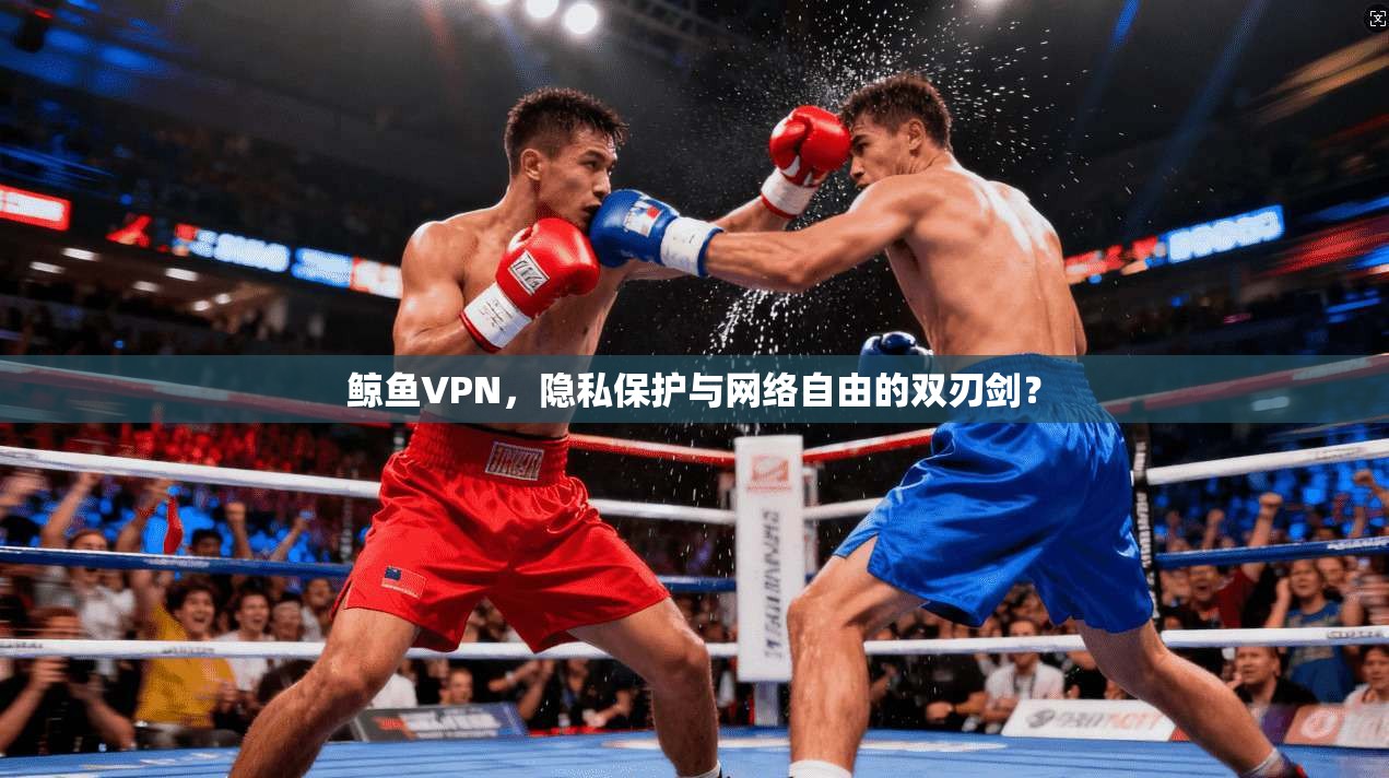 鲸鱼VPN,隐私保护与网络自由的双刃剑?