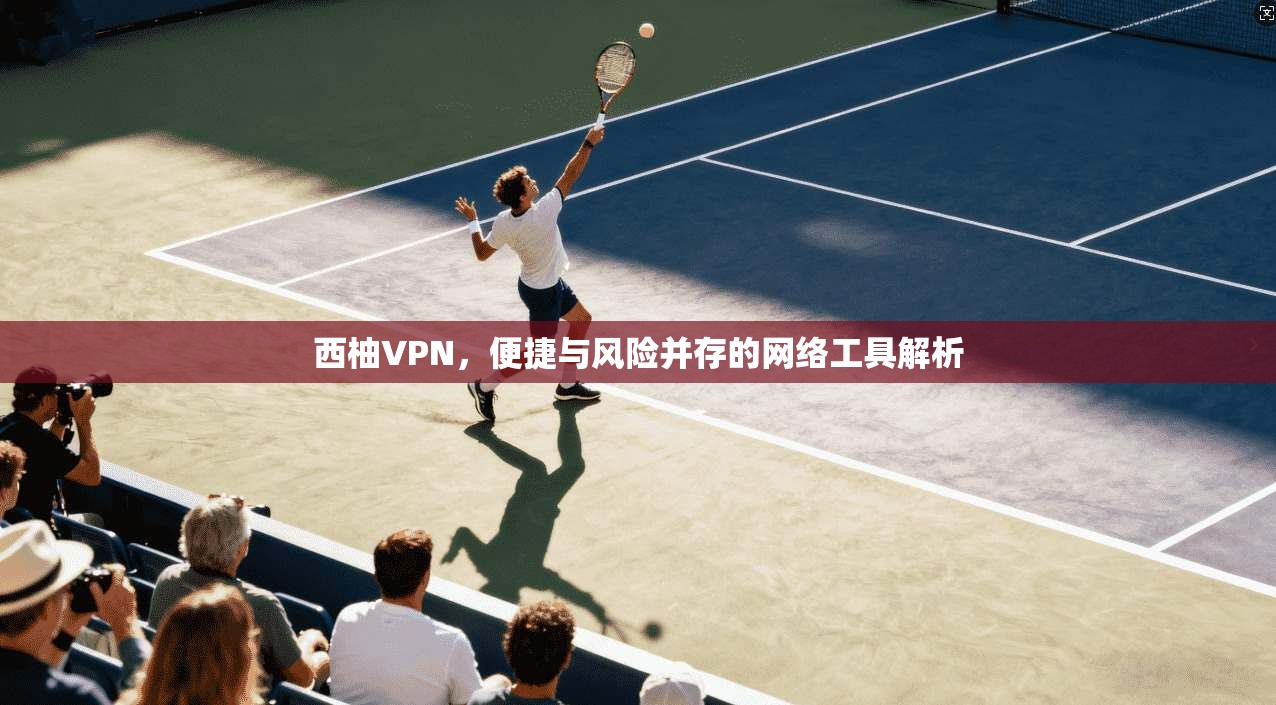 西柚VPN,便捷与风险并存的网络工具解析