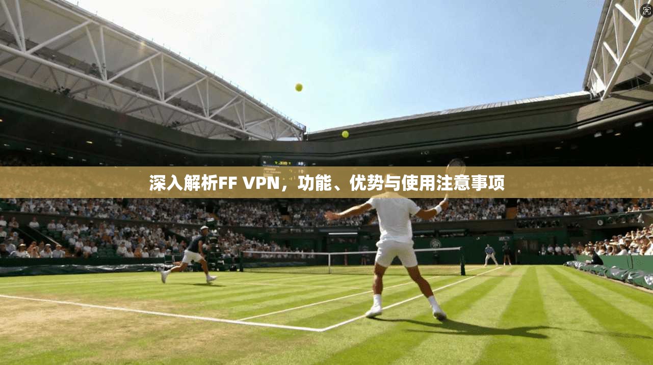 深入解析FF VPN,功能、优势与使用注意事项