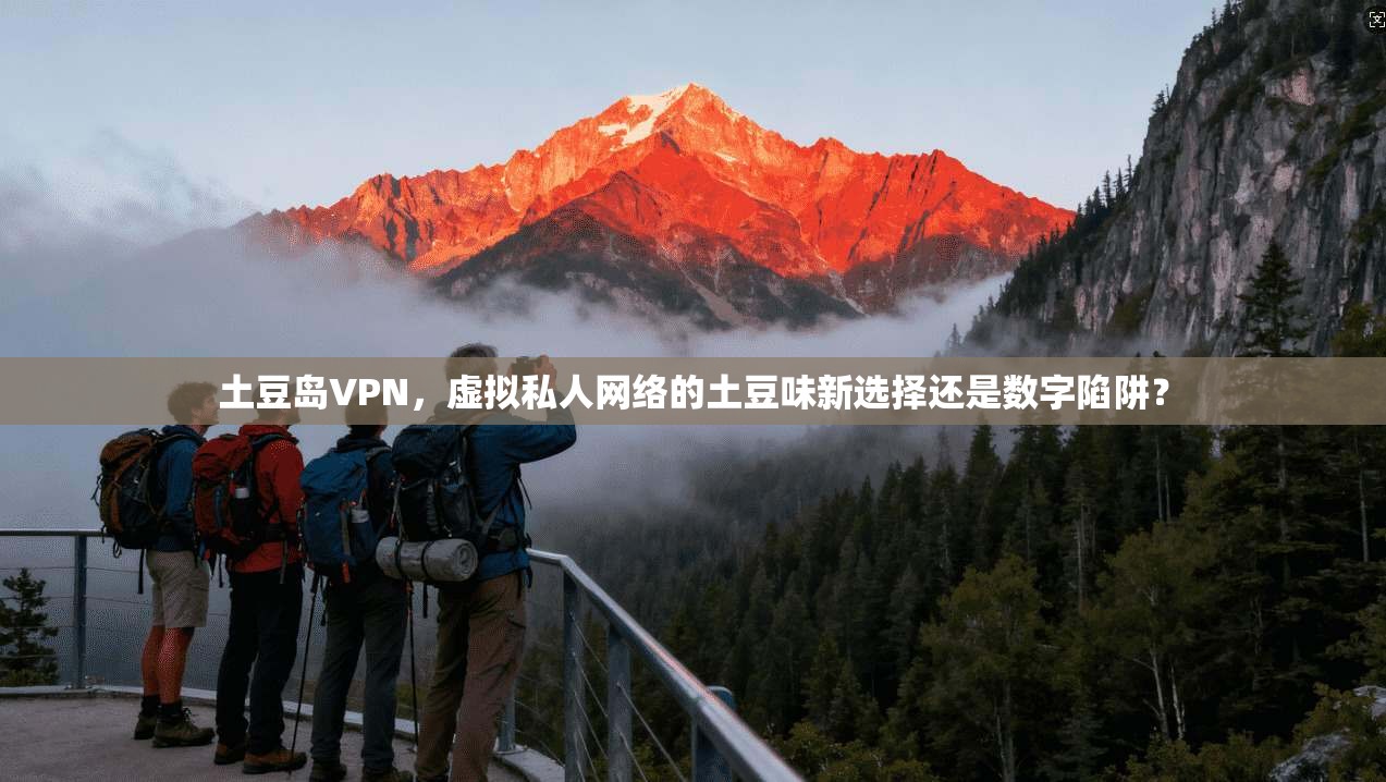 土豆岛VPN,虚拟私人网络的土豆味新选择还是数字陷阱?
