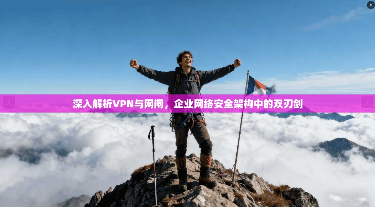 深入解析VPN与网闸,企业网络安全架构中的双刃剑