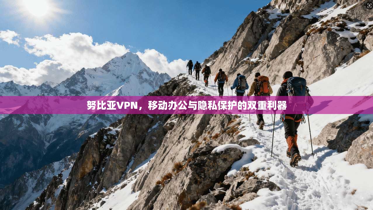 努比亚VPN，移动办公与隐私保护的双重利器