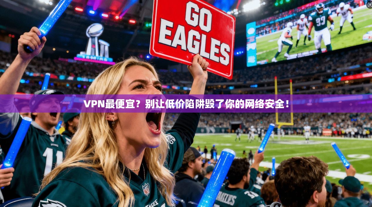 VPN最便宜？别让低价陷阱毁了你的网络安全！