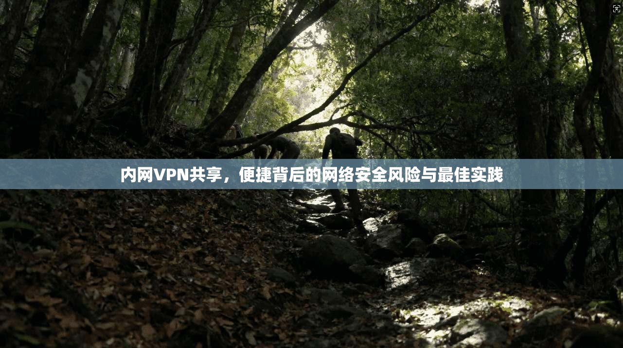 内网VPN共享,便捷背后的网络安全风险与最佳实践 内网VPN共享,便捷背后的网络安全风险与最佳实践