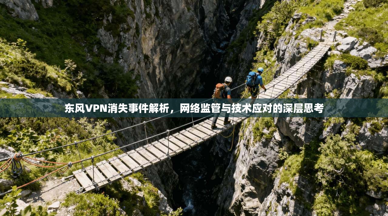 东风VPN消失事件解析，网络监管与技术应对的深层思考