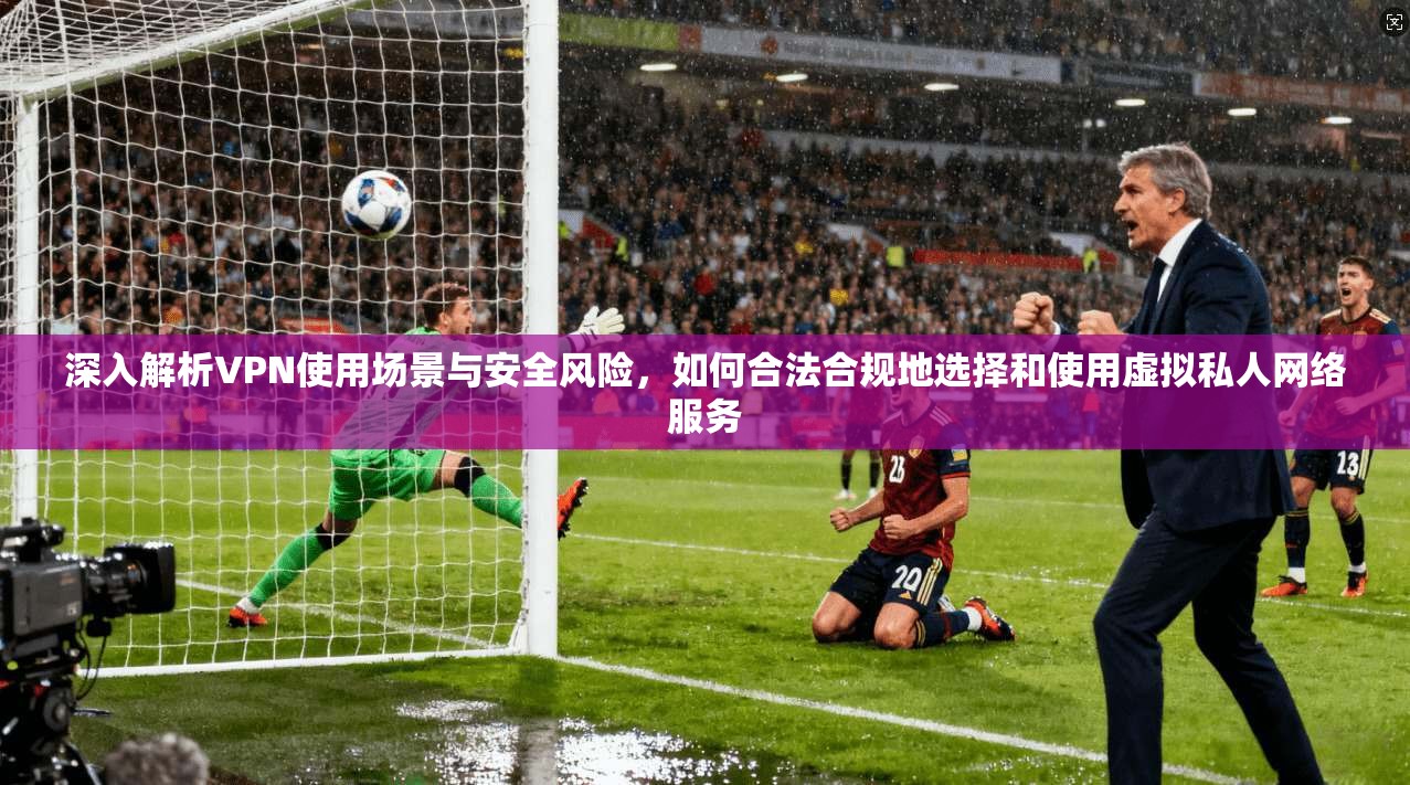 深入解析VPN使用场景与安全风险，如何合法合规地选择和使用虚拟私人网络服务