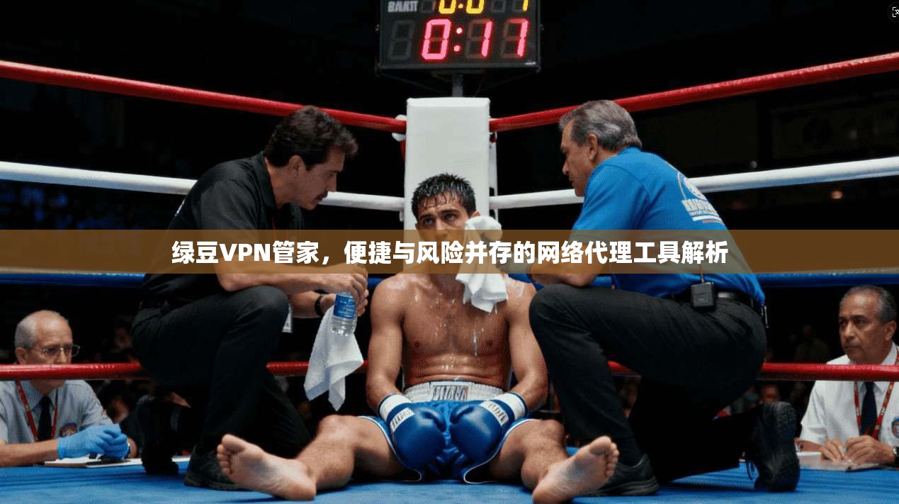 绿豆VPN管家，便捷与风险并存的网络代理工具解析