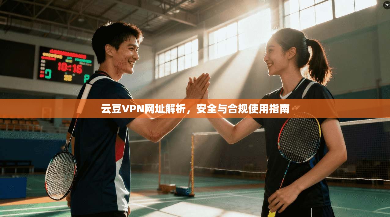 云豆VPN网址解析，安全与合规使用指南