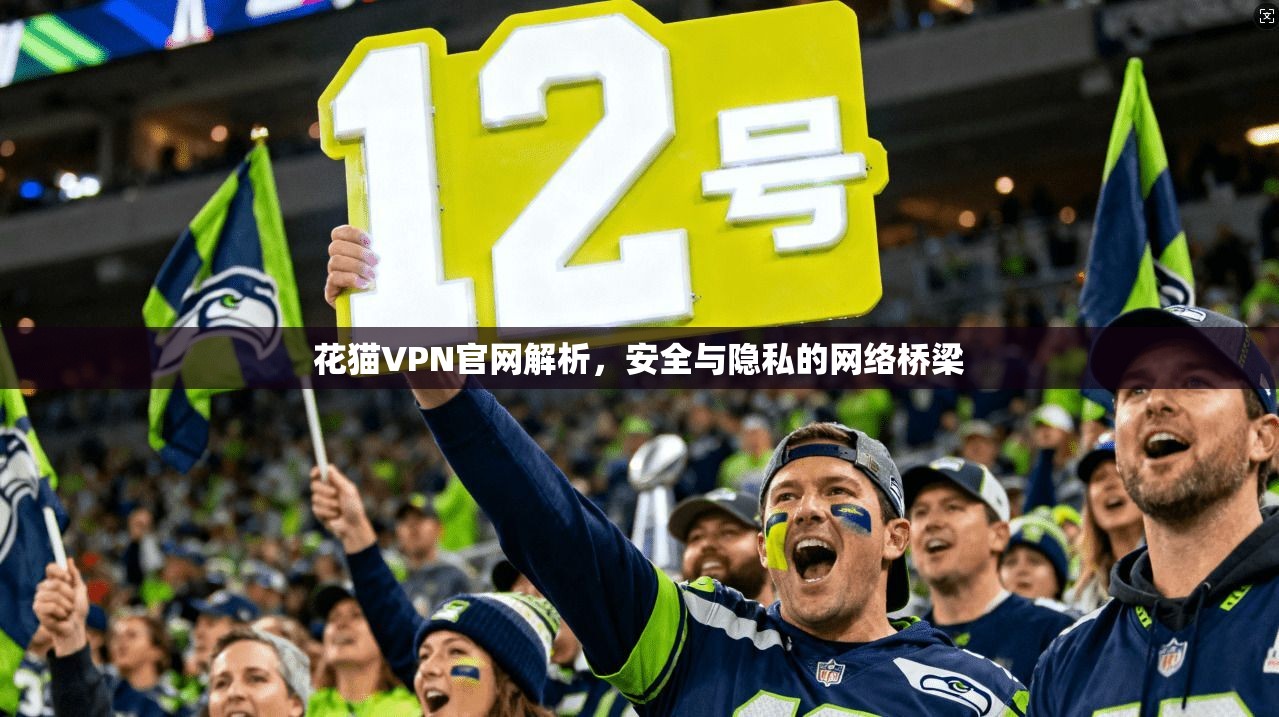花猫VPN官网解析，安全与隐私的网络桥梁