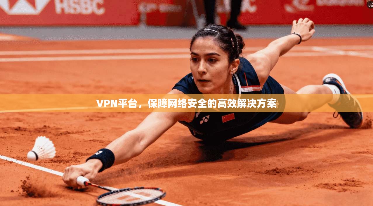 VPN平台，保障网络安全的高效解决方案