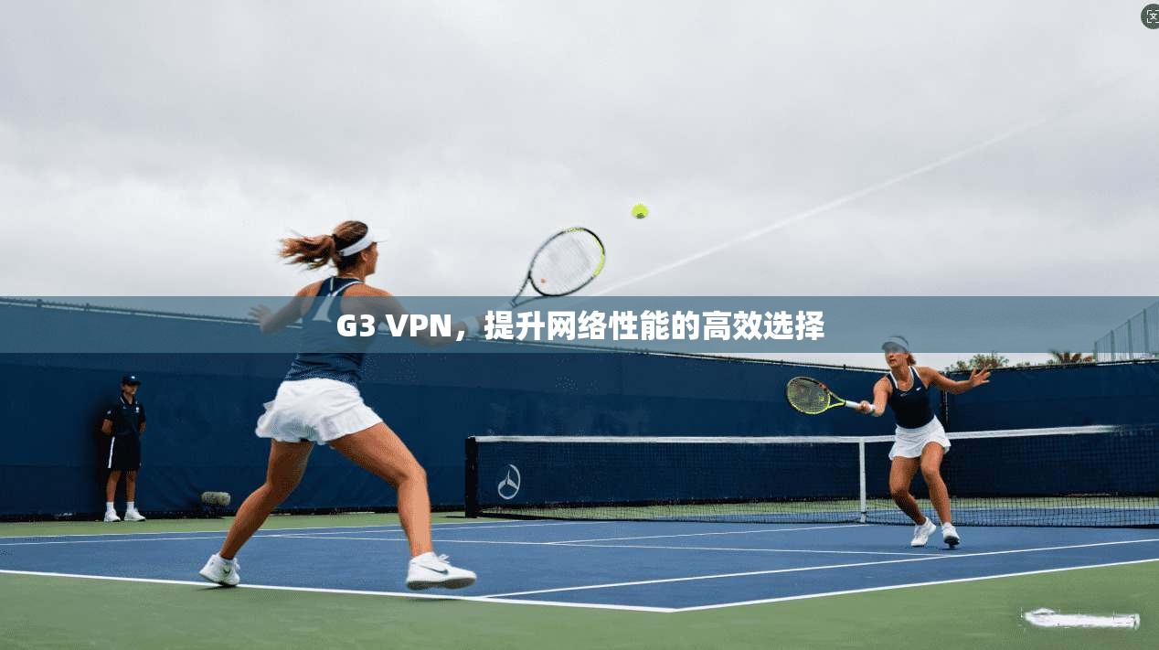 G3 VPN，提升网络性能的高效选择