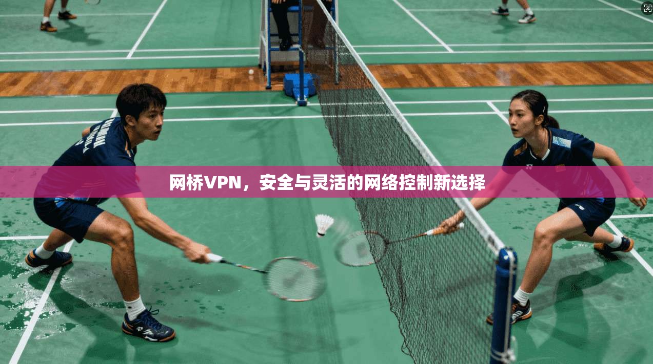 网桥VPN，安全与灵活的网络控制新选择  第1张