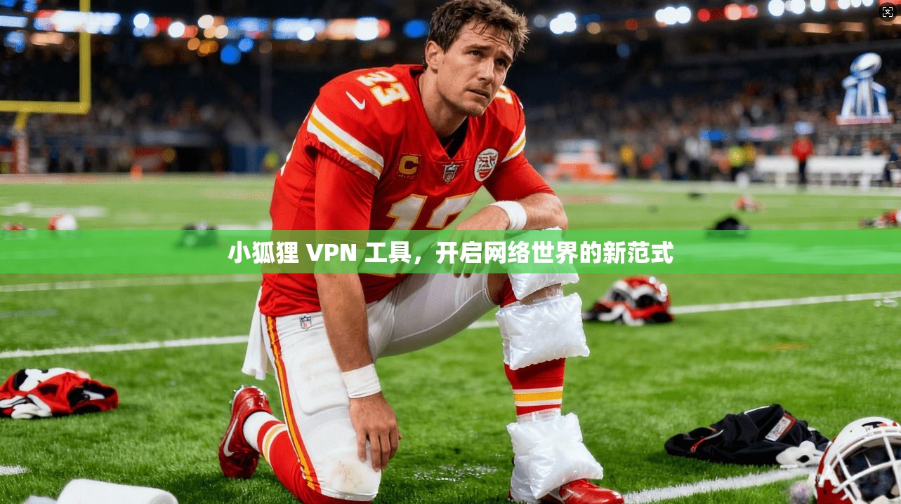 小狐狸 VPN 工具，开启网络世界的新范式