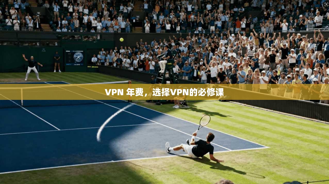 VPN 年费，选择VPN的必修课  第1张
