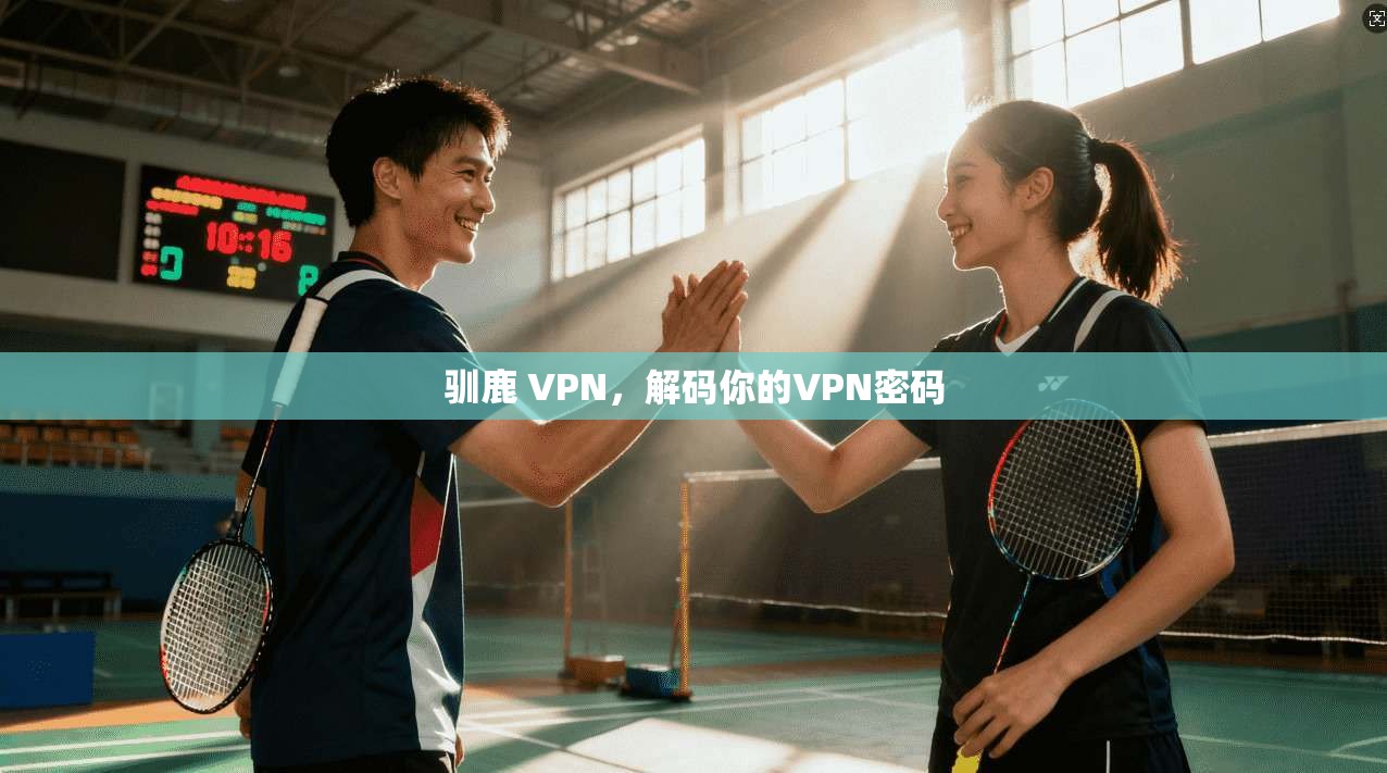 驯鹿 VPN，解码你的VPN密码