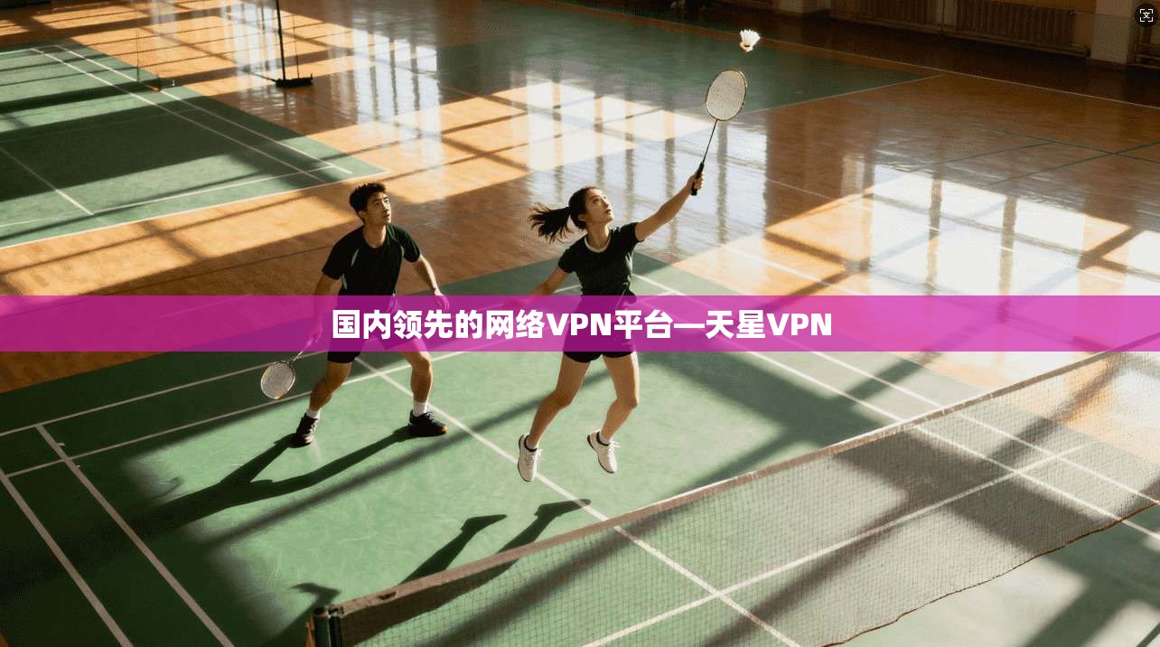 国内领先的网络VPN平台—天星VPN  第1张