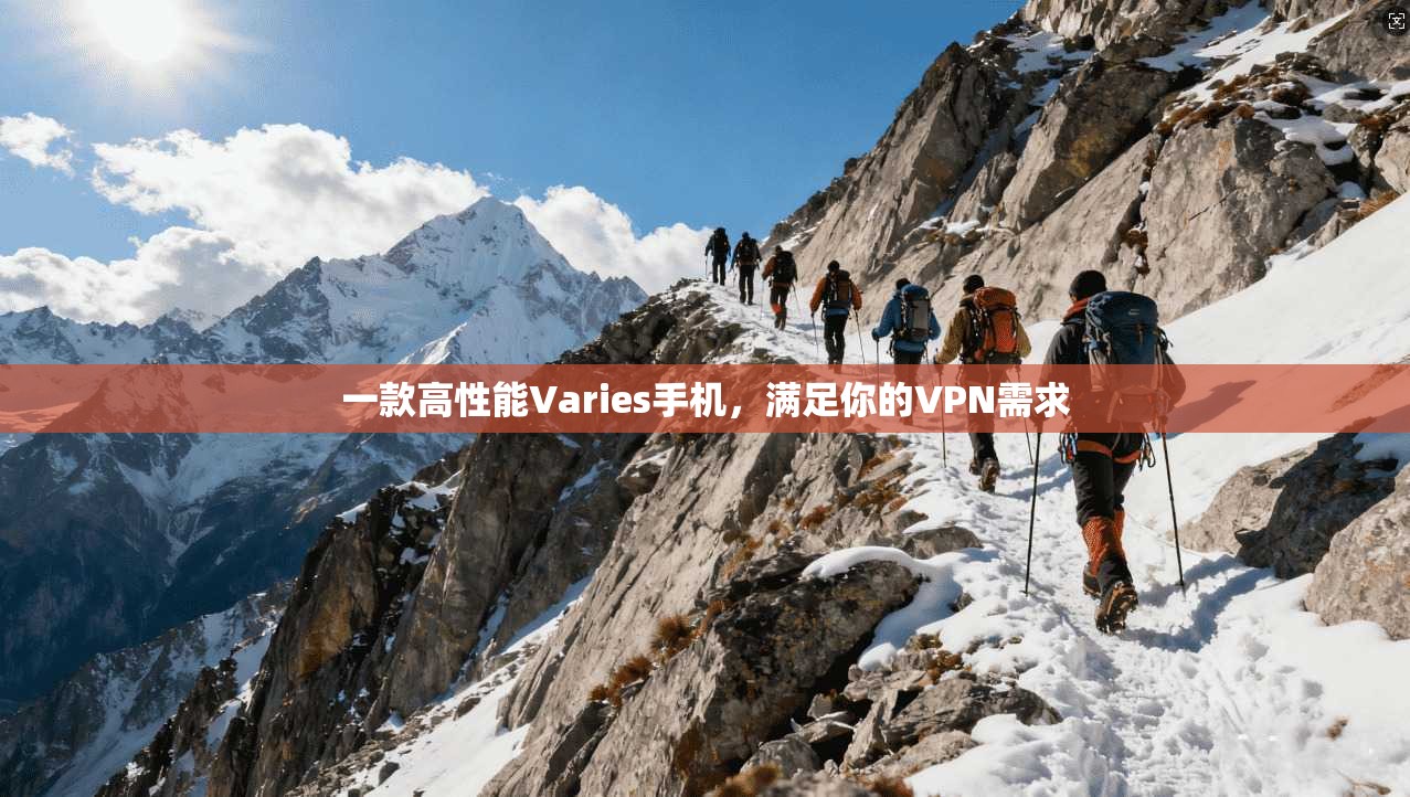 一款高性能Varies手机，满足你的VPN需求