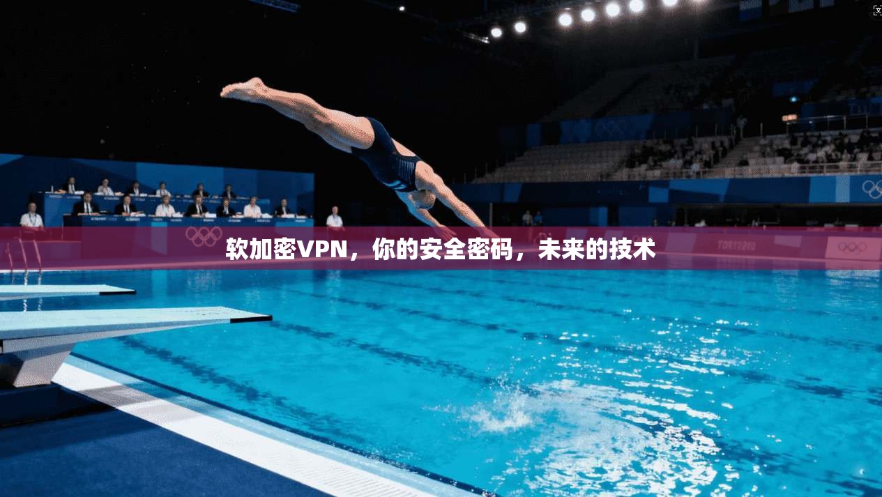 软加密VPN，你的安全密码，未来的技术