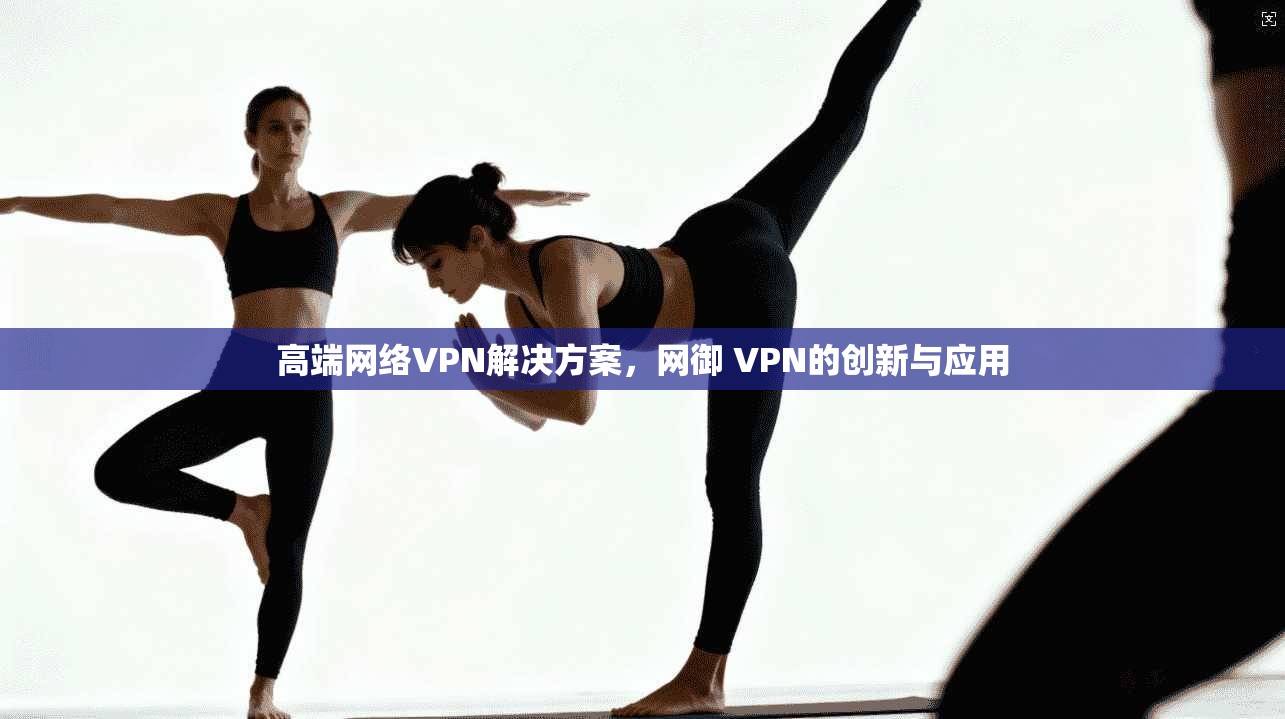 高端网络VPN解决方案，网御 VPN的创新与应用