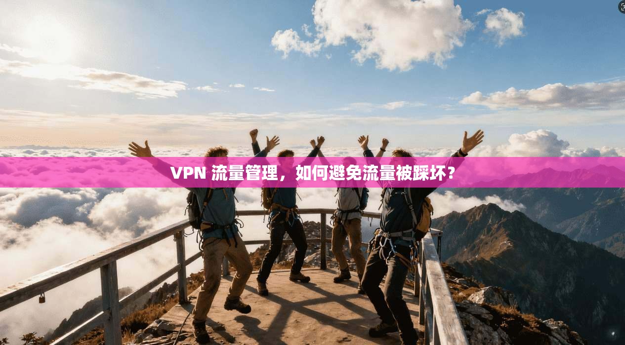 VPN 流量管理，如何避免流量被踩坏？