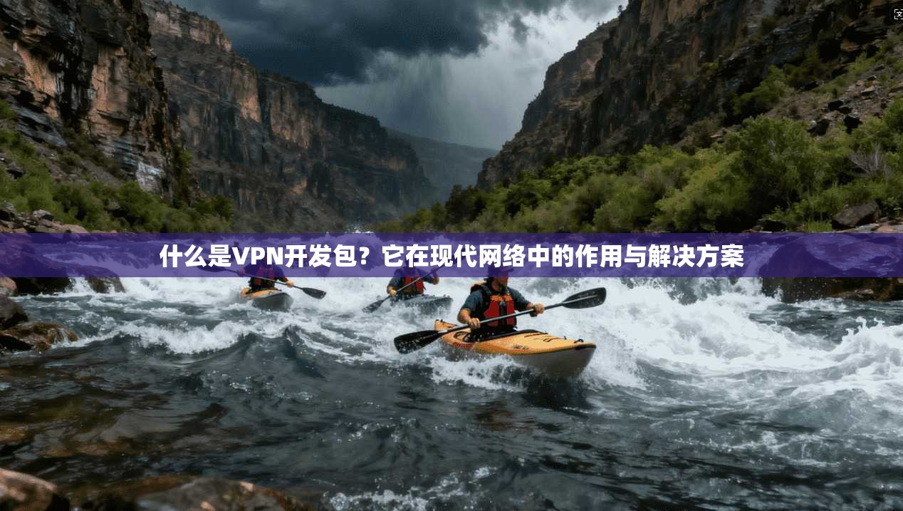 什么是VPN开发包？它在现代网络中的作用与解决方案
