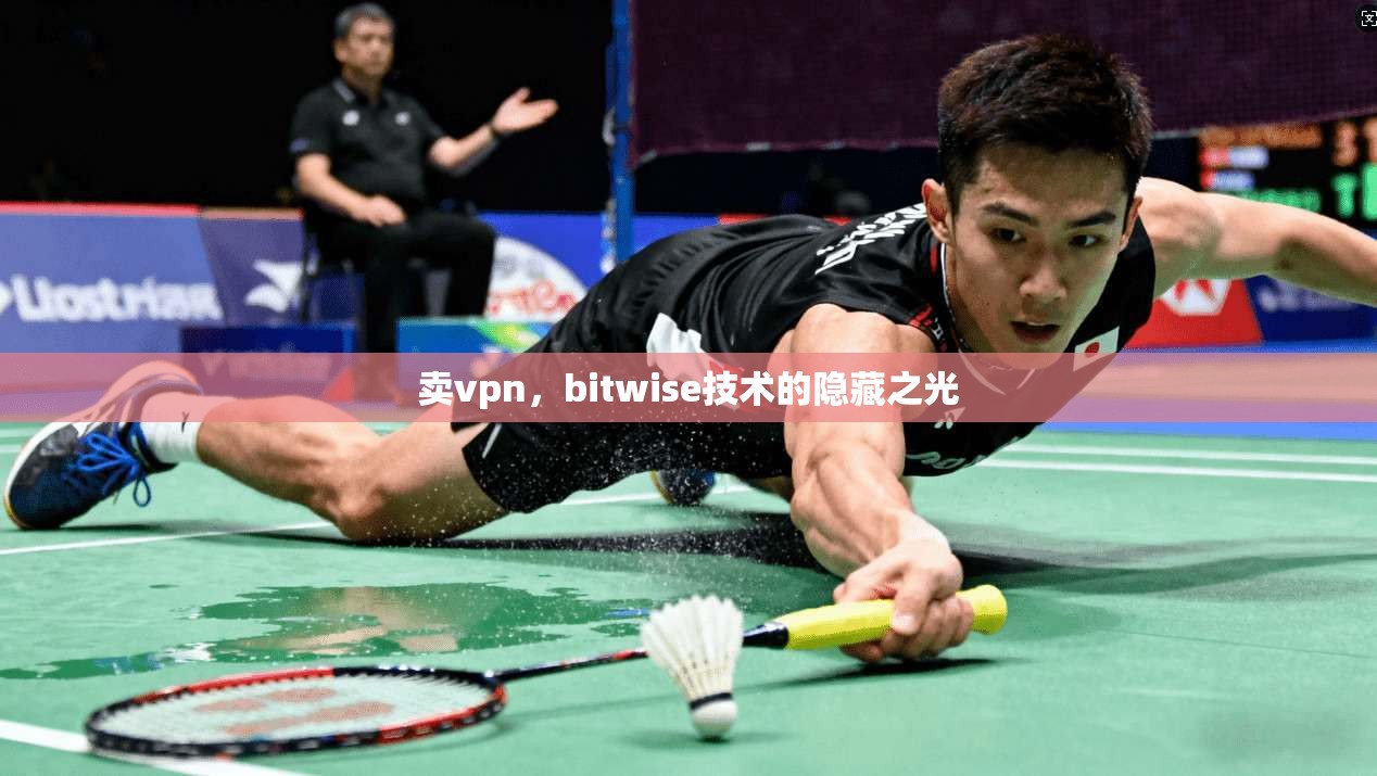 卖vpn,bitwise技术的隐藏之光