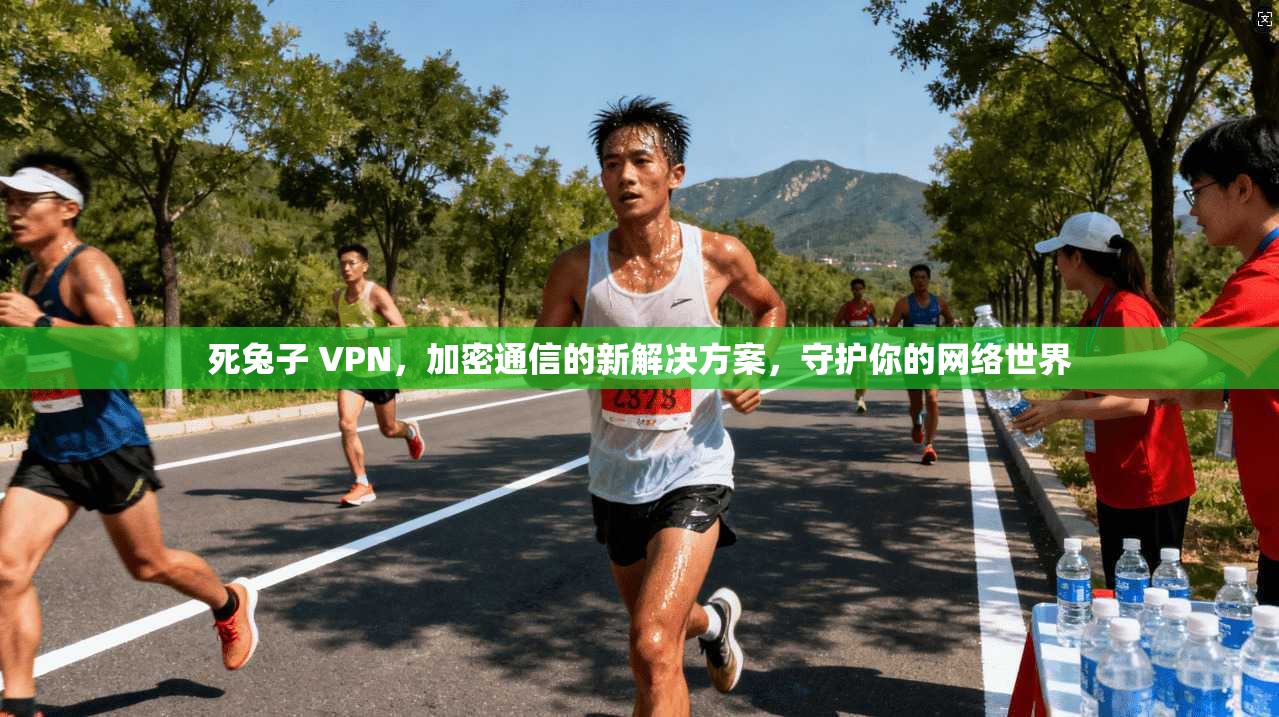 死兔子 VPN,加密通信的新解决方案,守护你的网络世界