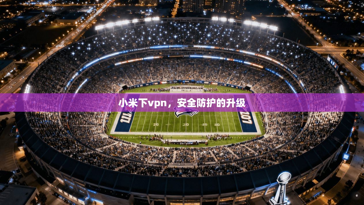 小米下vpn，安全防护的升级