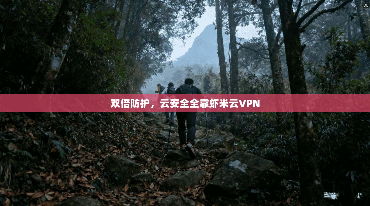 双倍防护，云安全全靠虾米云VPN