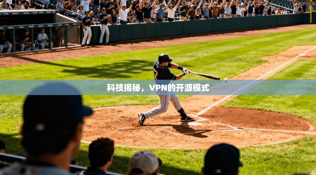 科技揭秘，VPN的开源模式