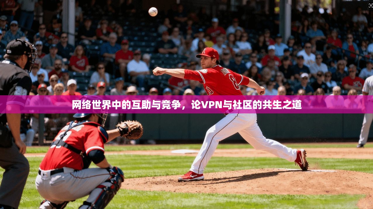 网络世界中的互助与竞争，论VPN与社区的共生之道