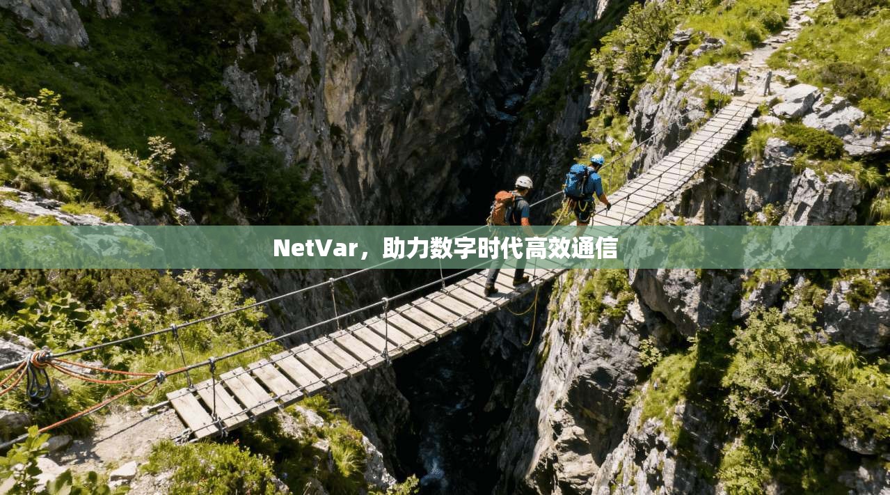NetVar，助力数字时代高效通信