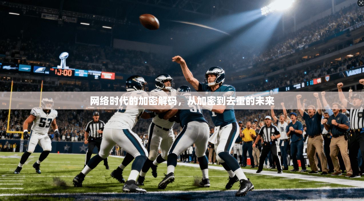 网络时代的加密解码，从加密到去重的未来