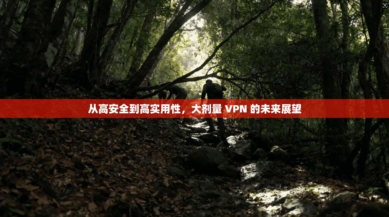 从高安全到高实用性，大剂量 VPN 的未来展望  第1张