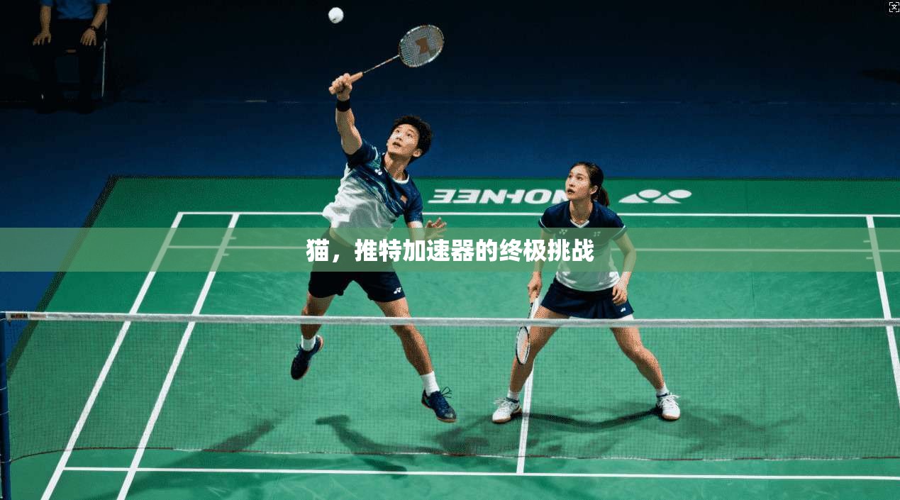 猫，推特加速器的终极挑战