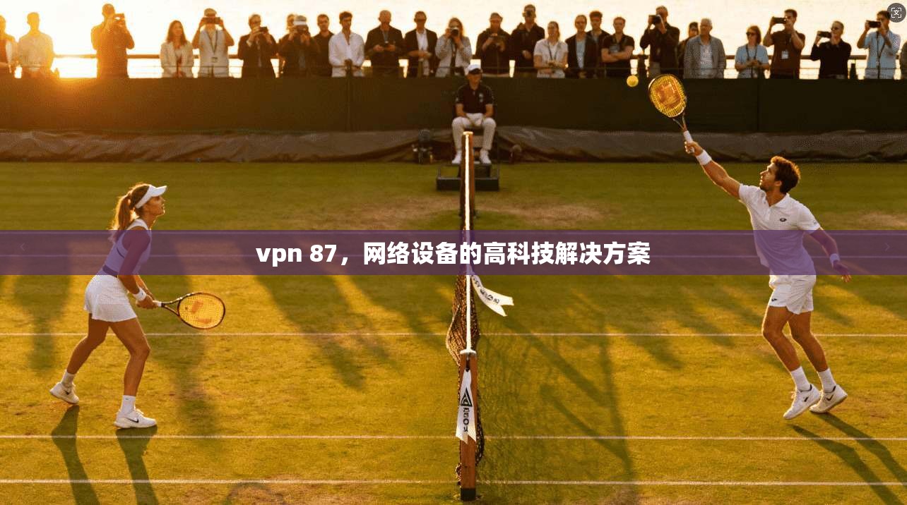 vpn 87，网络设备的高科技解决方案