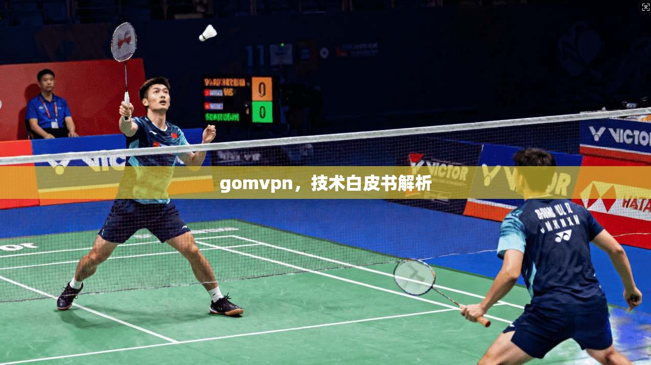 gomvpn，技术白皮书解析