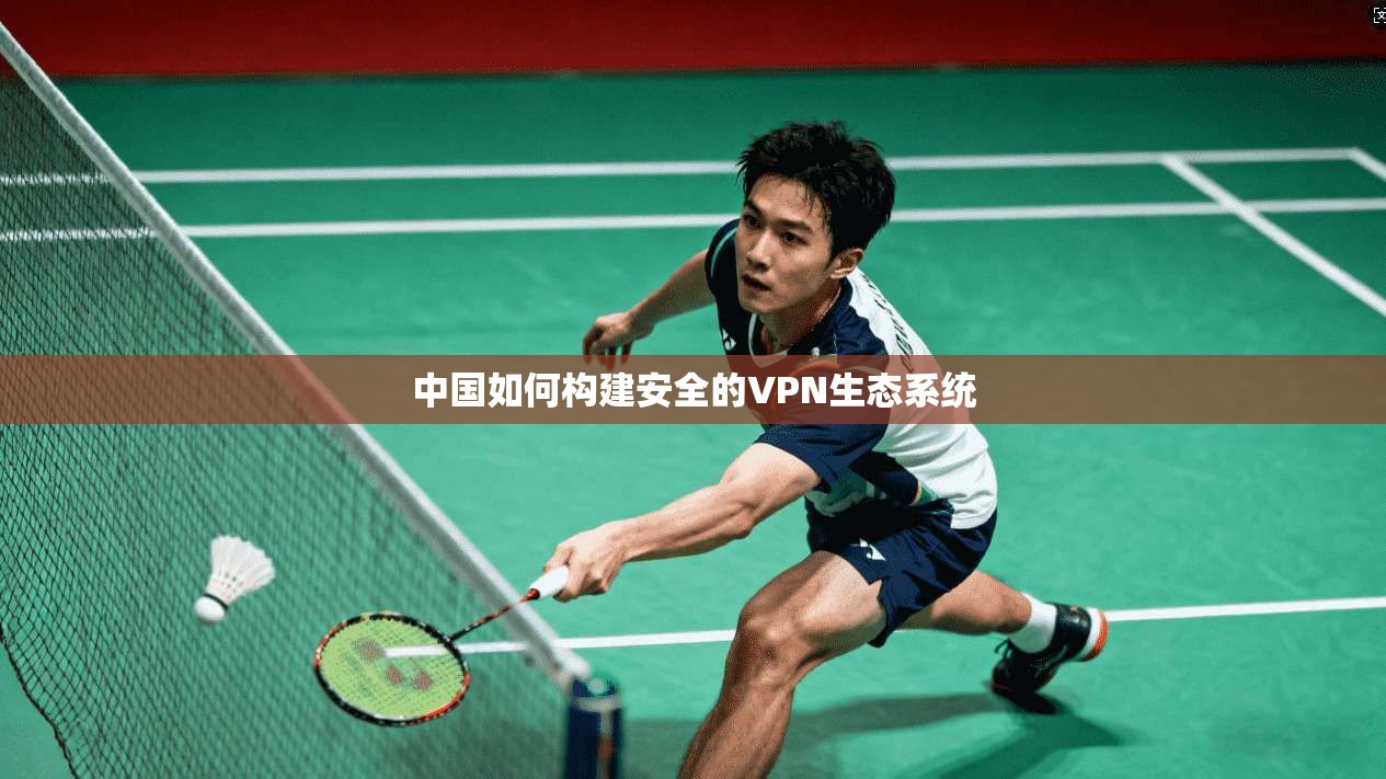 中国如何构建安全的VPN生态系统