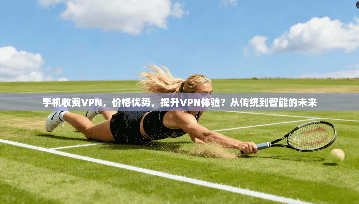 手机收费VPN，价格优势，提升VPN体验？从传统到智能的未来