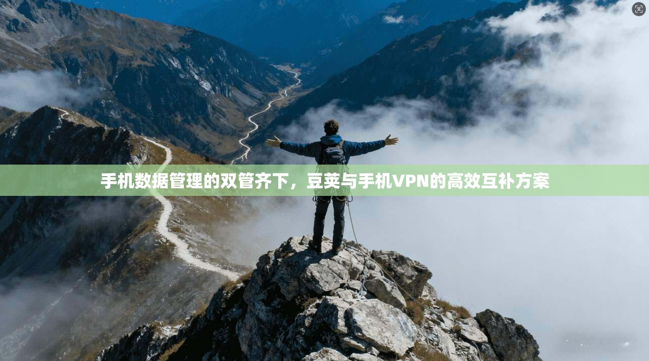手机数据管理的双管齐下，豆荚与手机VPN的高效互补方案
