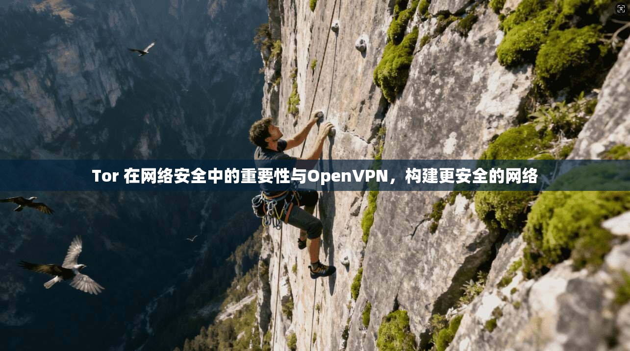 Tor 在网络安全中的重要性与OpenVPN，构建更安全的网络  第1张