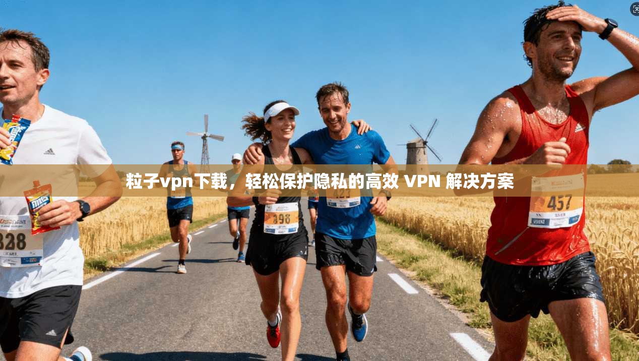 粒子vpn下载，轻松保护隐私的高效 VPN 解决方案