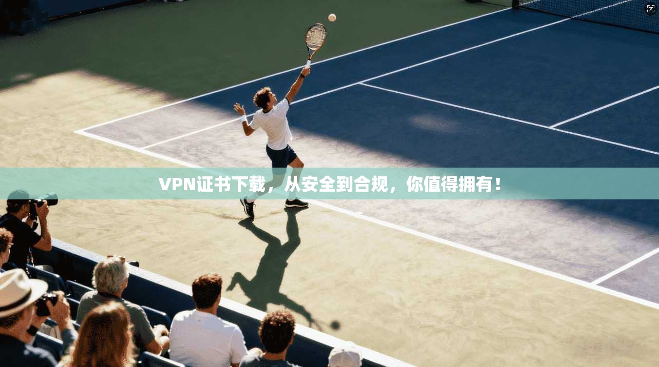 VPN证书下载,从安全到合规,你值得拥有!
