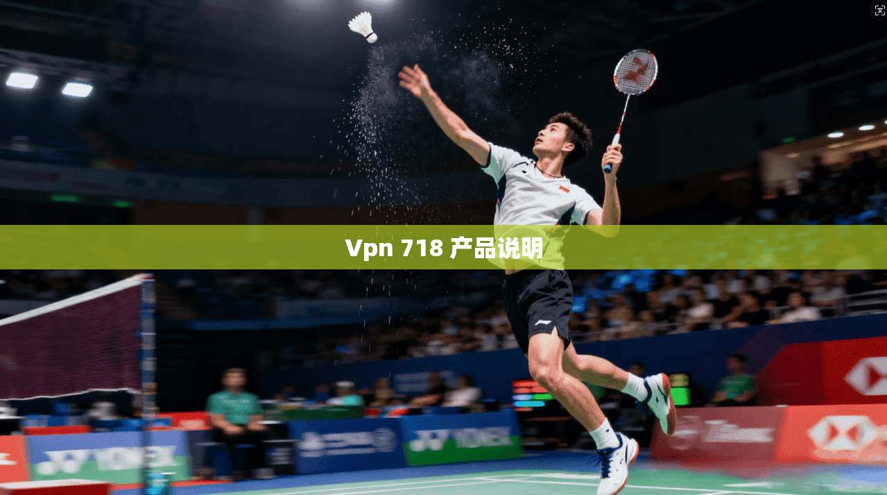 Vpn 718 产品说明