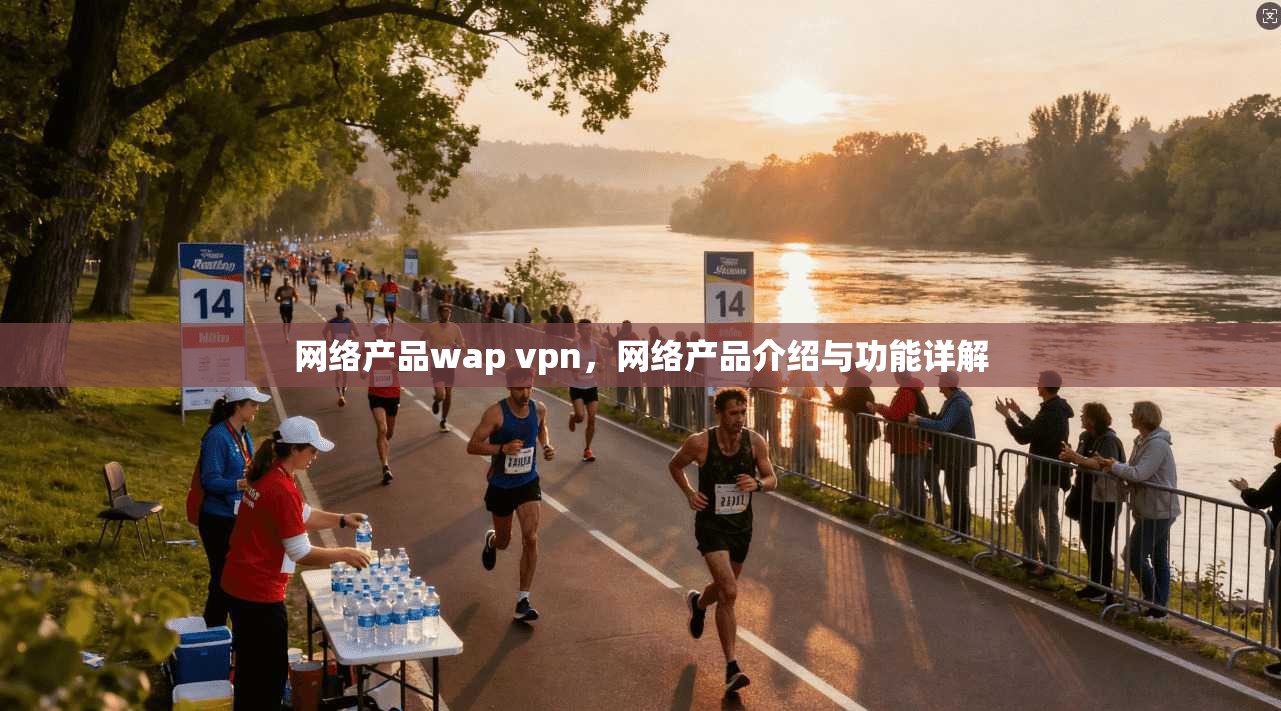 网络产品wap vpn，网络产品介绍与功能详解