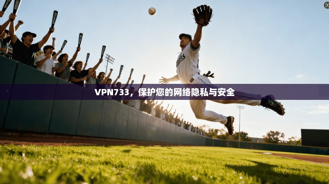 VPN733,保护您的网络隐私与安全