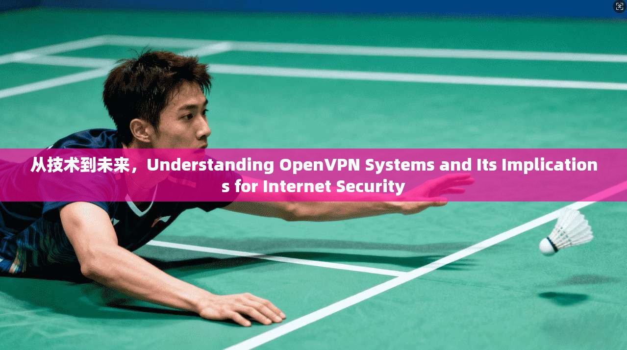 从技术到未来，Understanding OpenVPN Systems and Its Implications for Internet Security  第1张