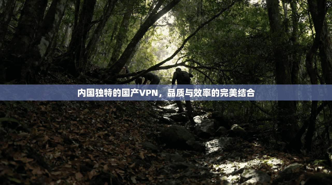 内国独特的国产VPN，品质与效率的完美结合